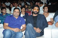 Celebs at Rough Movie Audio Function